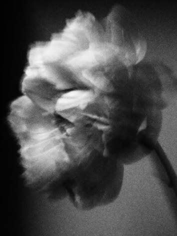 Фотограф в Карелии