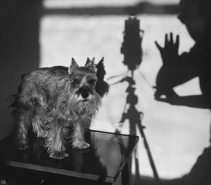 Ильза Бинг (1899-1998) — немецкий фотограф, одна из ведущих европейских фотографов межвоенного периода. Получила прозвище «Королева Leica» за новаторское использование компактной камеры, которая позволила ей фиксировать динамичные сцены и экспериментировать с новыми ракурсами.
