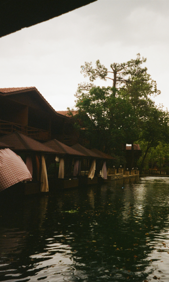 Автор: Саша Серебровская