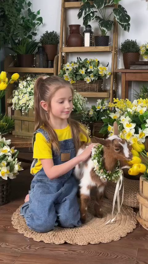 Фотостудия «Антураж» г. Краснодар