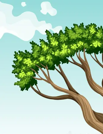 Материалы для внеурочного занятия