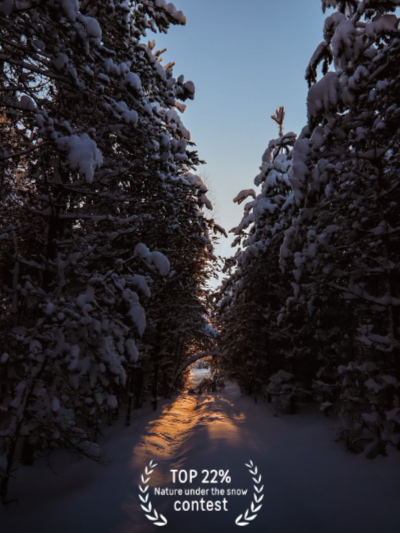 Фотограф Олеся Шипихина г. Москва