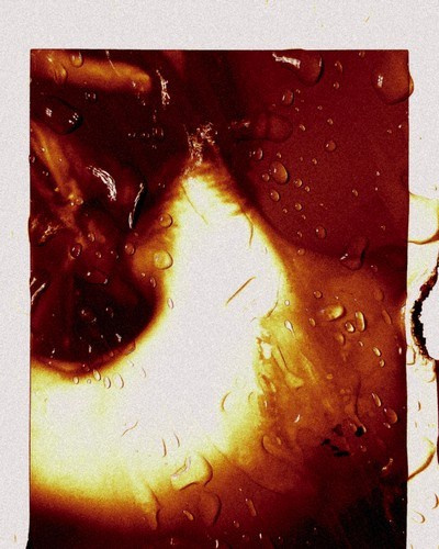 WHAT?. Evgenia Popova — Mixed media visual artist