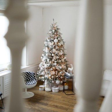 🎄 Новый год 2025-2026 ✨. Душевный фотограф в Санкт-Петербурге. Свадебные и семейные фотосессии