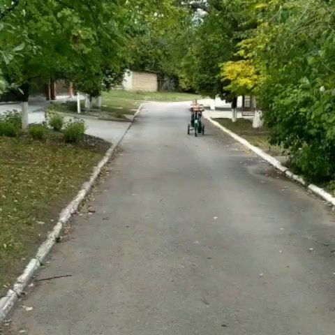 Международный день ДЦП: наши дети показывают, что границы преодолимы! 💚🤸‍♂️