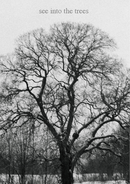 See into the trees — zine. Pictorial dream — fine art fil photography by Yaroslav Pavlov