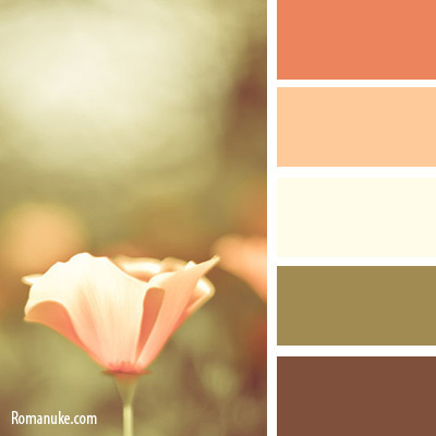 Подготовка одежды. Степанова Анна.Детский и семейный фотограф Крым