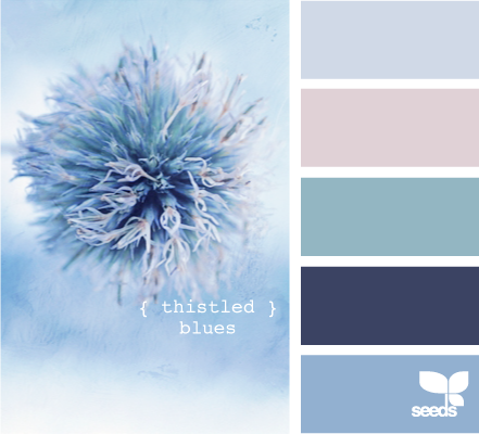 Подготовка одежды. Степанова Анна.Детский и семейный фотограф Крым