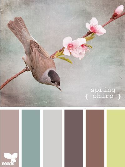 Подготовка одежды. Степанова Анна.Детский и семейный фотограф Крым