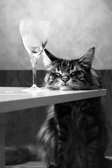 Отдых. Фотограф для маркетплейсов Михаил Бове