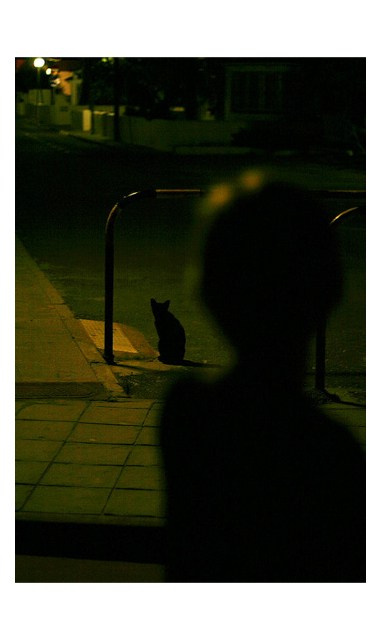 Фотографии из Европейских городов для интерьеров. Фотографии Руслана Сайдалиева (Рус Сай)