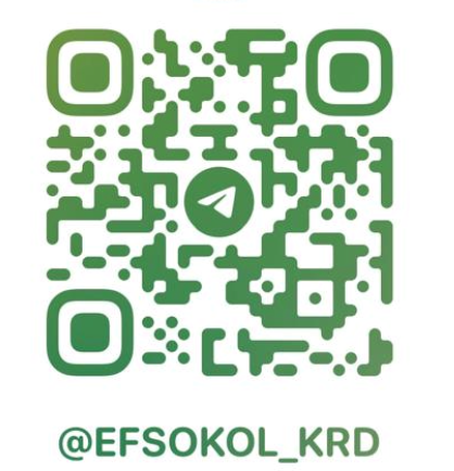 Контент фотосъемка для юриста @EFSOKOL _KRD. Детский семейный фотограф Краснодар