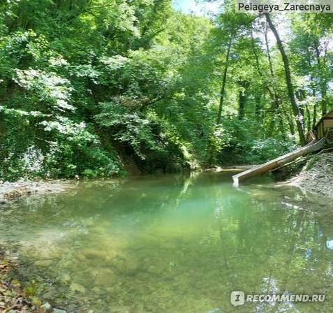 Апполакская тропа. Фотограф для маркетплейсов Михаил Бове