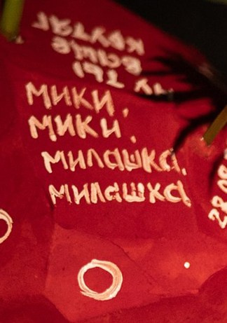 Егор и Ирина (Роспись и камерный ужин с семьей). Свадебный фотограф МОСКВА ЛИПЕЦК Ольга Шишук