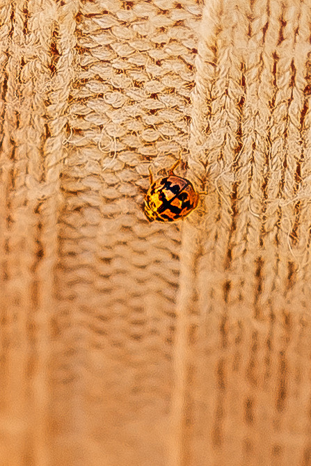 Анонс. Съемка Таинств Крещения Венчания, детские и семейные съемки в Пензе