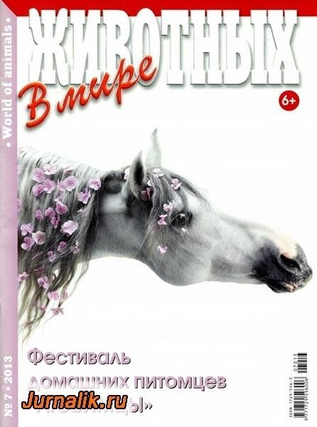 Публикации. Лана Петрова, фотограф