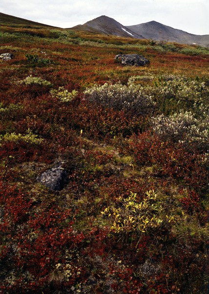Саяны. ВАДИМ ГИППЕНРЕЙТЕР — ВЕЛИКИЙ ФОТОГРАФ ЗЕМЛИ РУССКОЙ