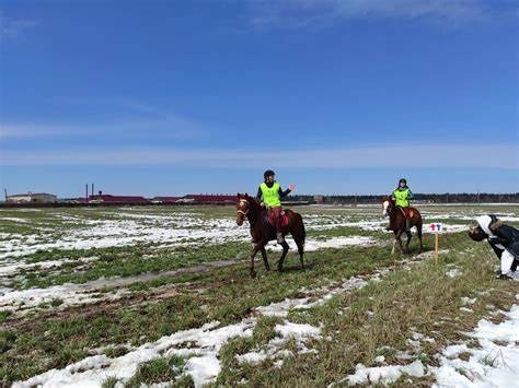Endurance Rider Webinar Kazakhstan 2025. Liana Antanovich | Equestrian Strategies