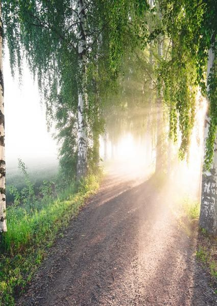 Каталог продукции. Https://lifefotonn.ru/