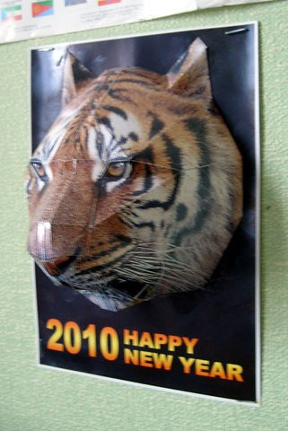 Модели из бумаги. Пейзажи