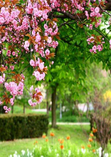 Каталог продукции. Https://lifefotonn.ru/