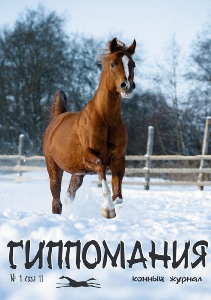 Публикации. Лана Петрова, фотограф