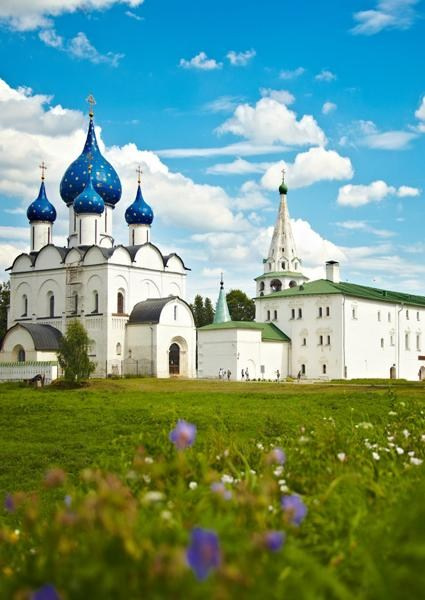 Варианты фонов. Https://lifefotonn.ru/