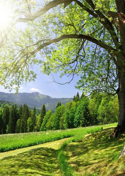 Каталог продукции. Https://lifefotonn.ru/