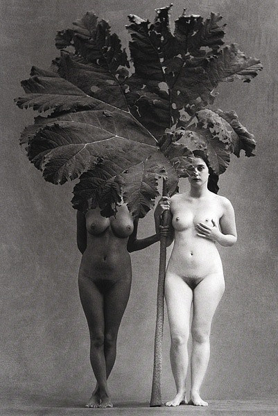 ФЛОР ГАРДУНЬО