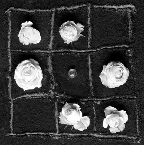 ФЛОР ГАРДУНЬО