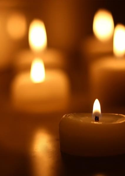 Каталог продукции. Https://lifefotonn.ru/