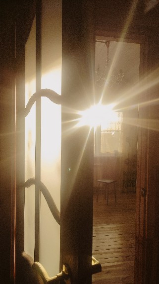 Фотограф Татьяна Марсуверских г. Жуковский, Москва и Мо. Репортажные съёмки, фотосессии,  фотограф анималист, фотосъёмка животных. Фотограф для маркетплейсов, фотоуслуги в Жуковском Татьяна Марсуверских