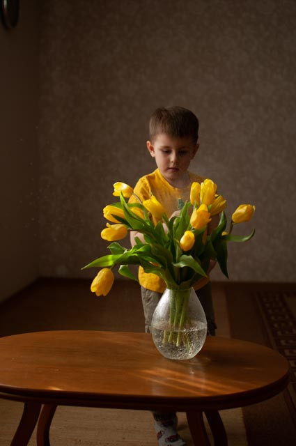 Тюльпаны. Семейный и детский фотограф в Тюмени Хайруллина Анна