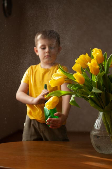 Тюльпаны. Семейный и детский фотограф в Тюмени Хайруллина Анна