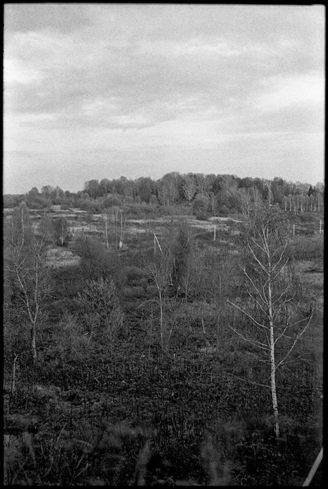 Улица-фотография. Аналоговые карточки