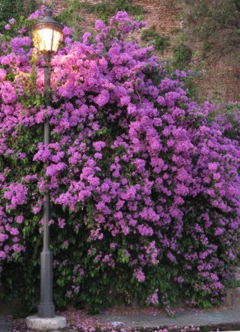 ПУТЕШЕСТВИЯ. Фотограф мероприятий Ирина Каширина