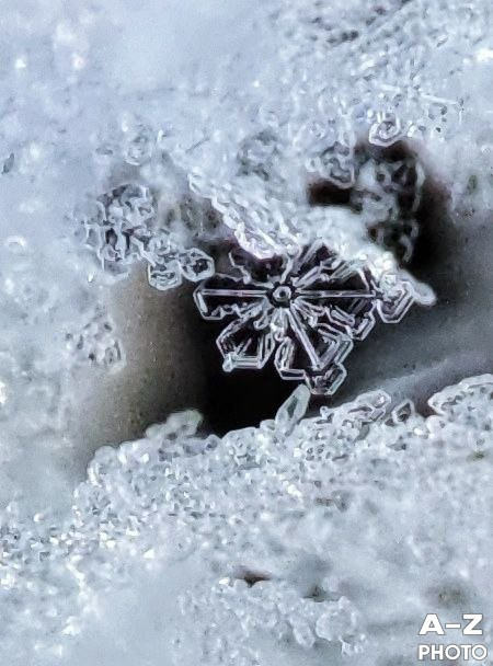 #ФОТОНЕДЕЛИ 19.01.2026. Женский семейный фотограф Тула Москва Захарова Анна