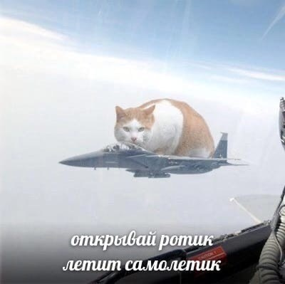 2025.08.20 Ярослав и Катя. Вова Вершинин - свадебный видеограф в Нижнем Новгороде, Москве и всей России