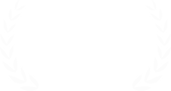 Дипломы и конкурсы. Спортивный фотограф Кемерово