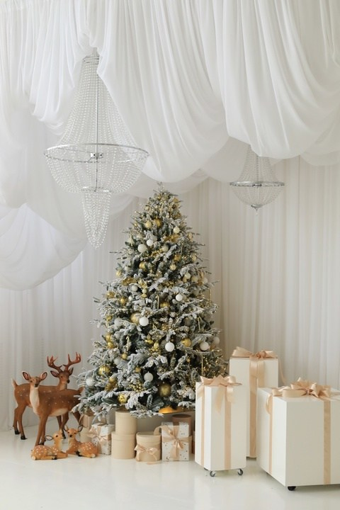 Фотостудия FLACON Зал Богемия. Семейный фотограф в Перми Ольга Гилева. Выпускные альбомы