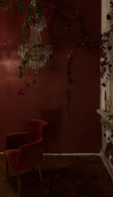 Фотостудии. Фотограф НОГИНСК, Москва, Анастасия Белая