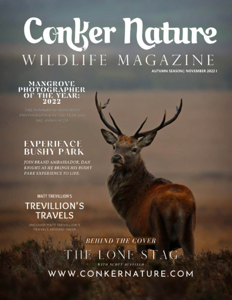 My publications in printed publications, magazines. Фотограф (photographer) Lischinski Vitaliy