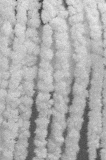 Валентин & Ксения