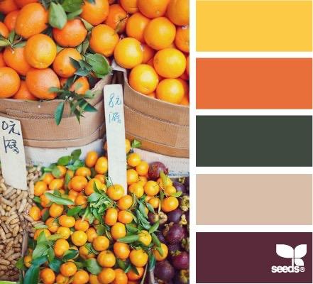 Цветовые сочетания в одежде. Детский семейный фотограф в Абинске