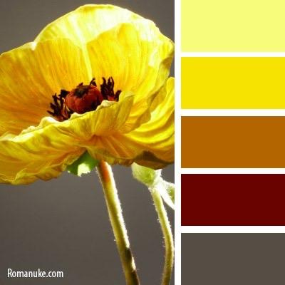 Цветовые сочетания в одежде. Детский семейный фотограф в Абинске