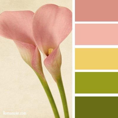 Цветовые сочетания в одежде. Детский семейный фотограф в Абинске