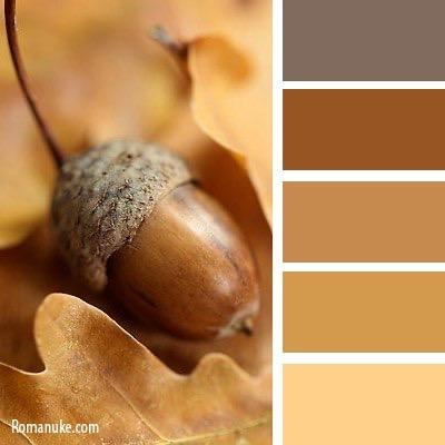 Цветовые сочетания в одежде. Детский семейный фотограф в Абинске