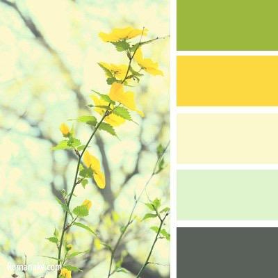 Цветовые сочетания в одежде. Детский семейный фотограф в Абинске