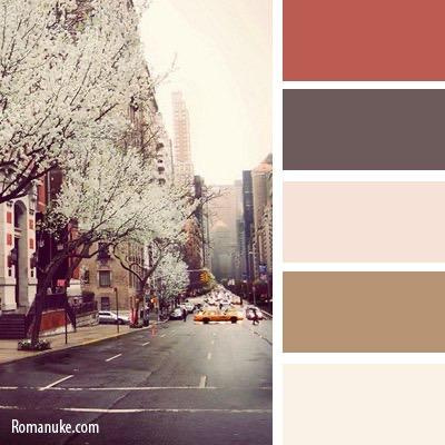 Цветовые сочетания в одежде. Детский семейный фотограф в Абинске