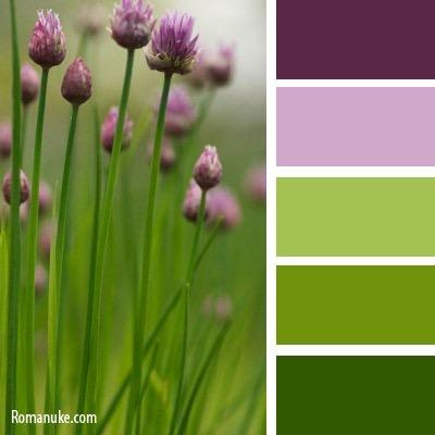 Цветовые сочетания в одежде. Детский семейный фотограф в Абинске